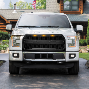 ford f150 grille